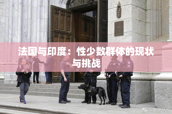 法国与印度：性少数群体的现状与挑战