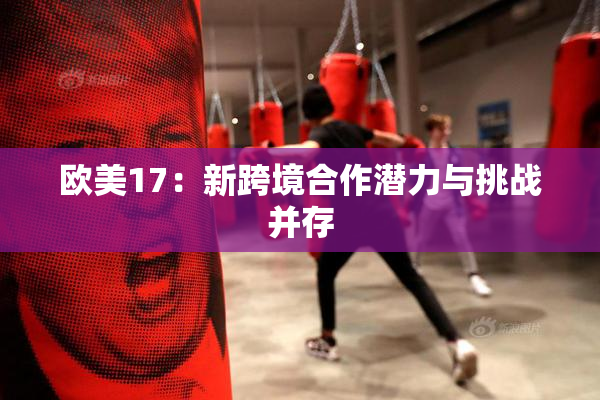 欧美17：新跨境合作潜力与挑战并存