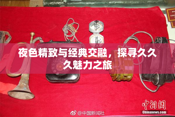 夜色精致与经典交融，探寻久久久魅力之旅