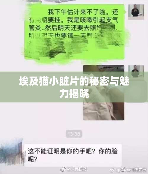 埃及猫小脏片的秘密与魅力揭晓