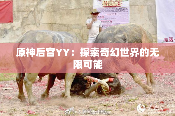 原神后宫YY：探索奇幻世界的无限可能