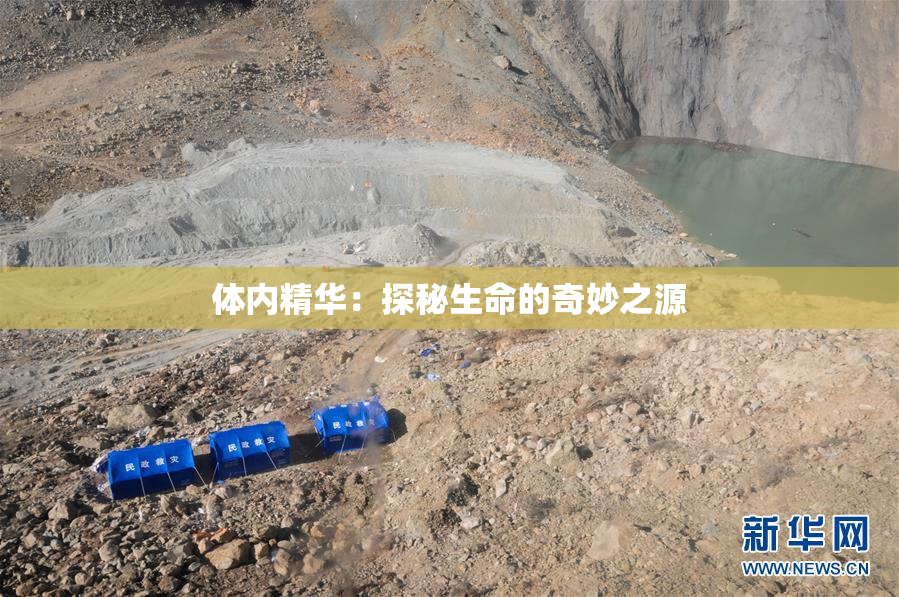 体内精华：探秘生命的奇妙之源