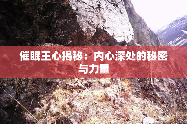 催眠王心揭秘：内心深处的秘密与力量
