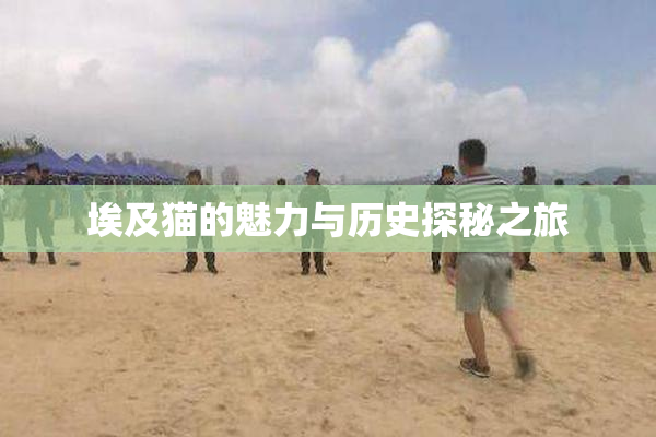 埃及猫的魅力与历史探秘之旅