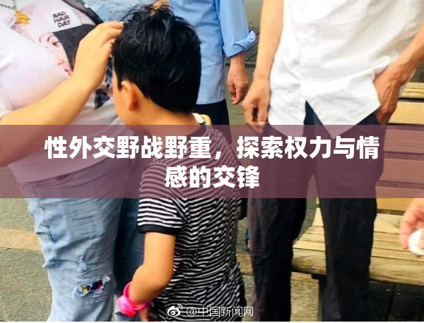 性外交野战野重，探索权力与情感的交锋
