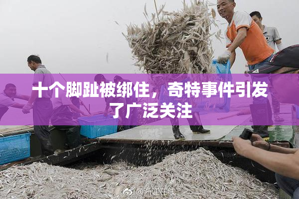 十个脚趾被绑住，奇特事件引发了广泛关注