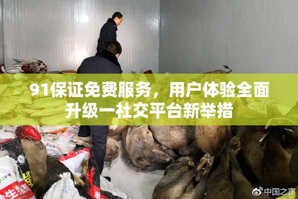 91保证免费服务，用户体验全面升级一社交平台新举措