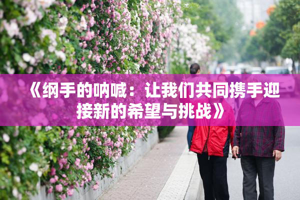 《纲手的呐喊：让我们共同携手迎接新的希望与挑战》