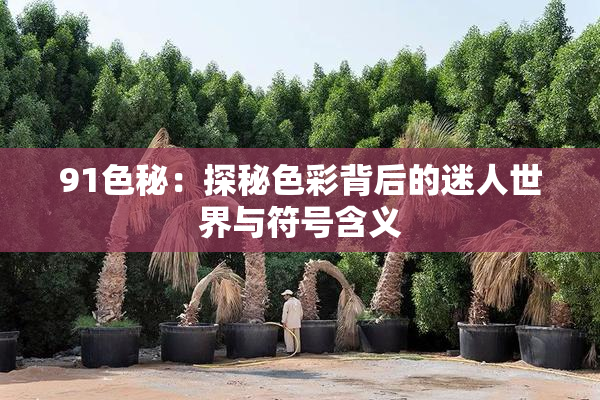 91色秘：探秘色彩背后的迷人世界与符号含义