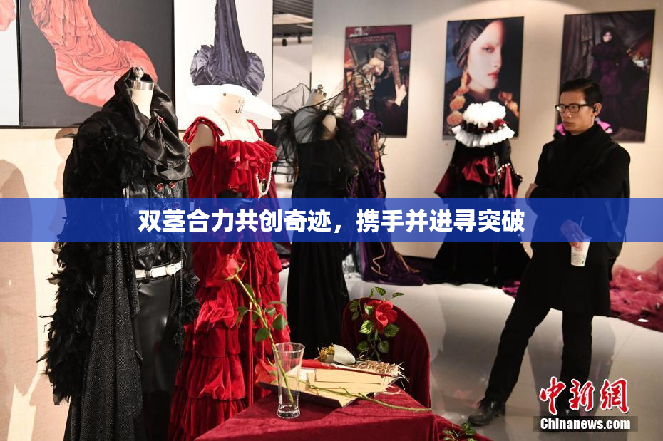 双茎合力共创奇迹，携手并进寻突破