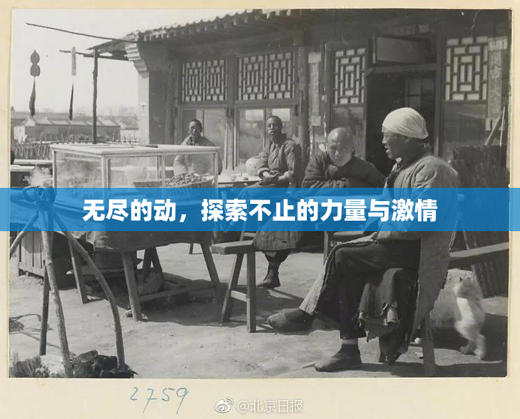 无尽的动，探索不止的力量与激情