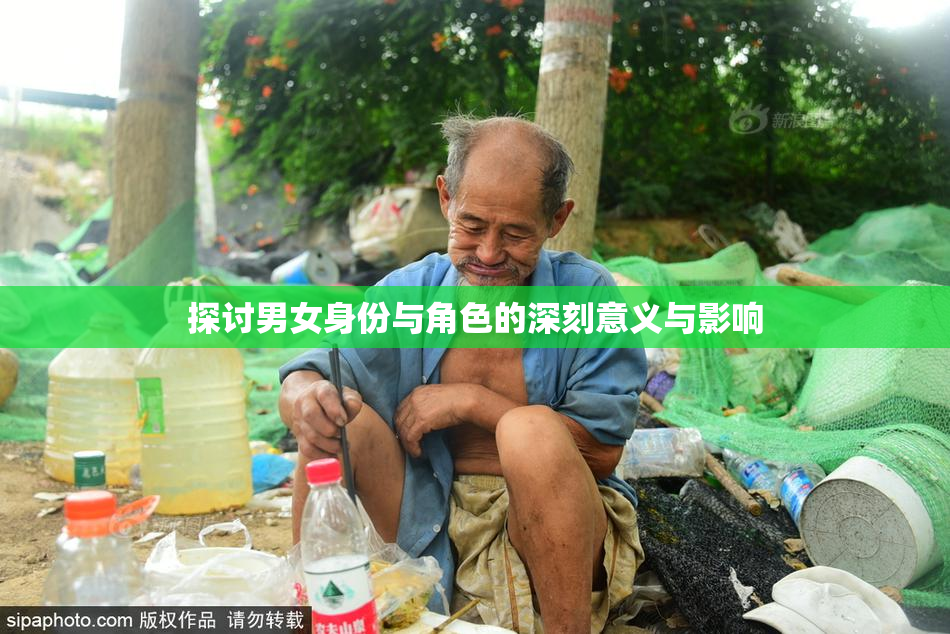 探讨男女身份与角色的深刻意义与影响