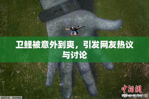 卫鲤被意外到爽，引发网友热议与讨论