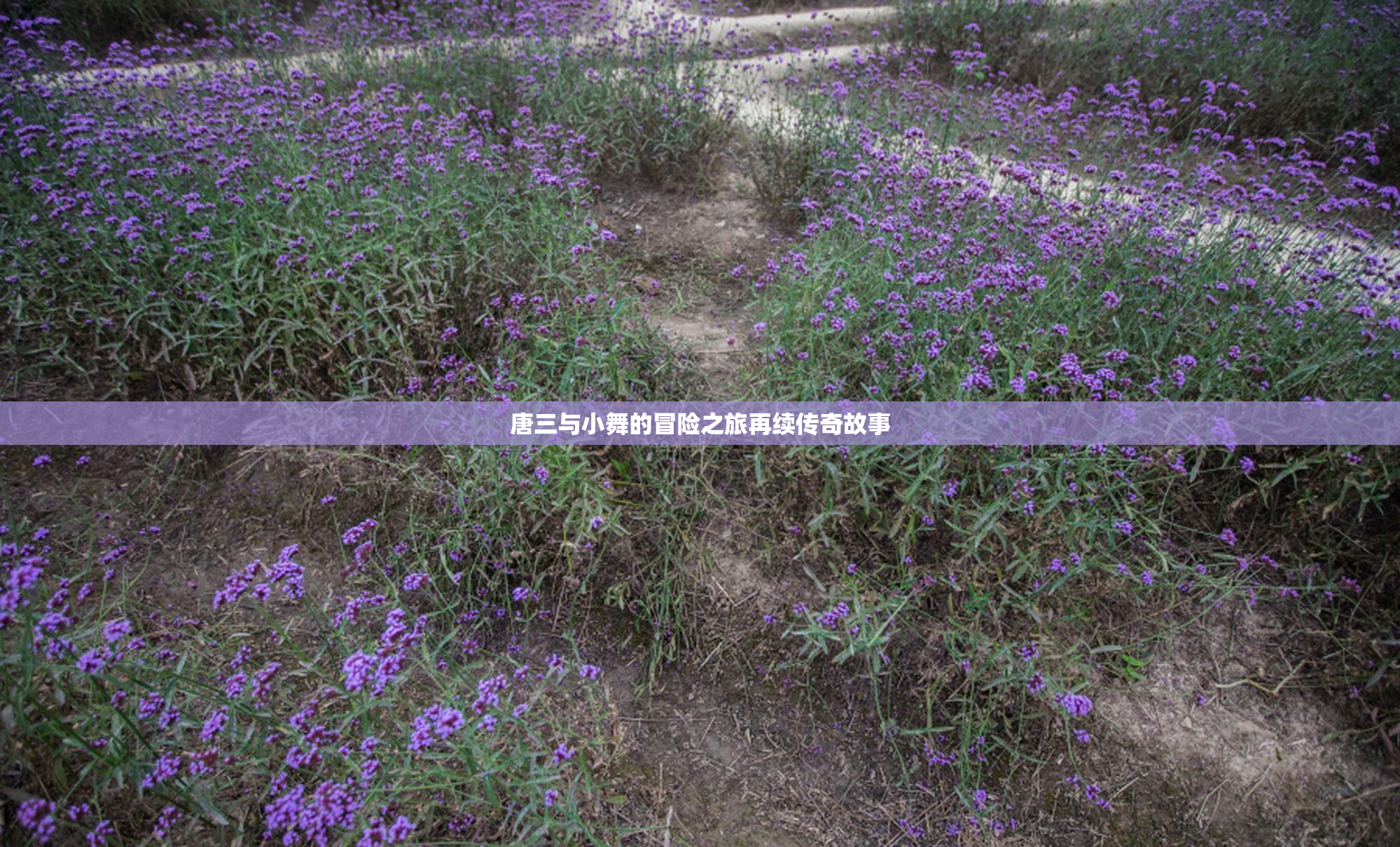 唐三与小舞的冒险之旅再续传奇故事