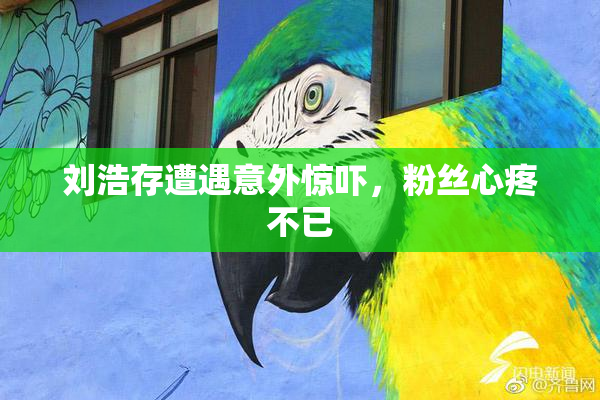 刘浩存遭遇意外惊吓，粉丝心疼不已