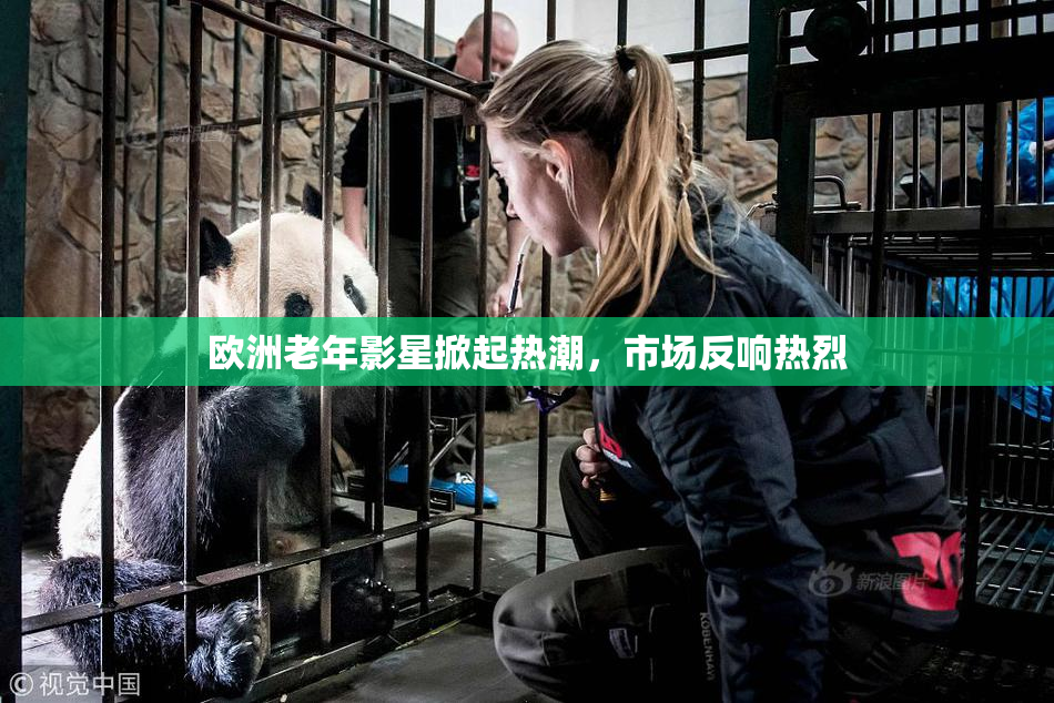 欧洲老年影星掀起热潮，市场反响热烈