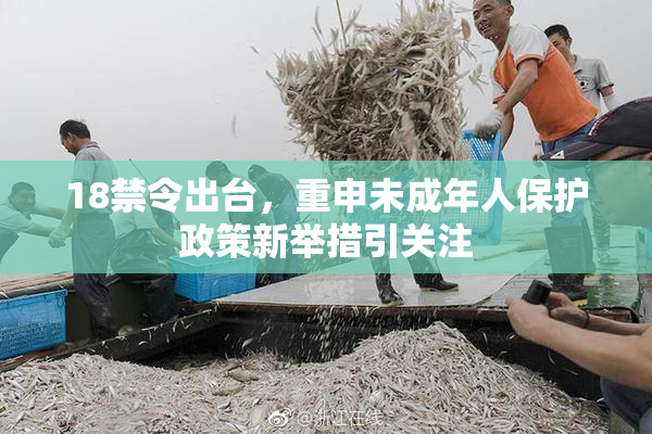 18禁令出台，重申未成年人保护政策新举措引关注