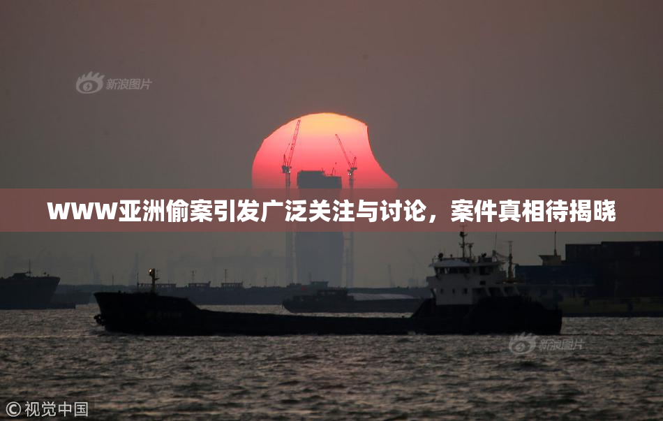 WWW亚洲偷案引发广泛关注与讨论，案件真相待揭晓