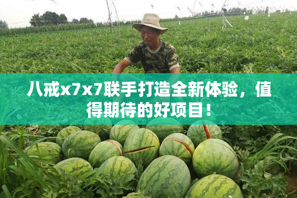 八戒x7x7联手打造全新体验，值得期待的好项目！