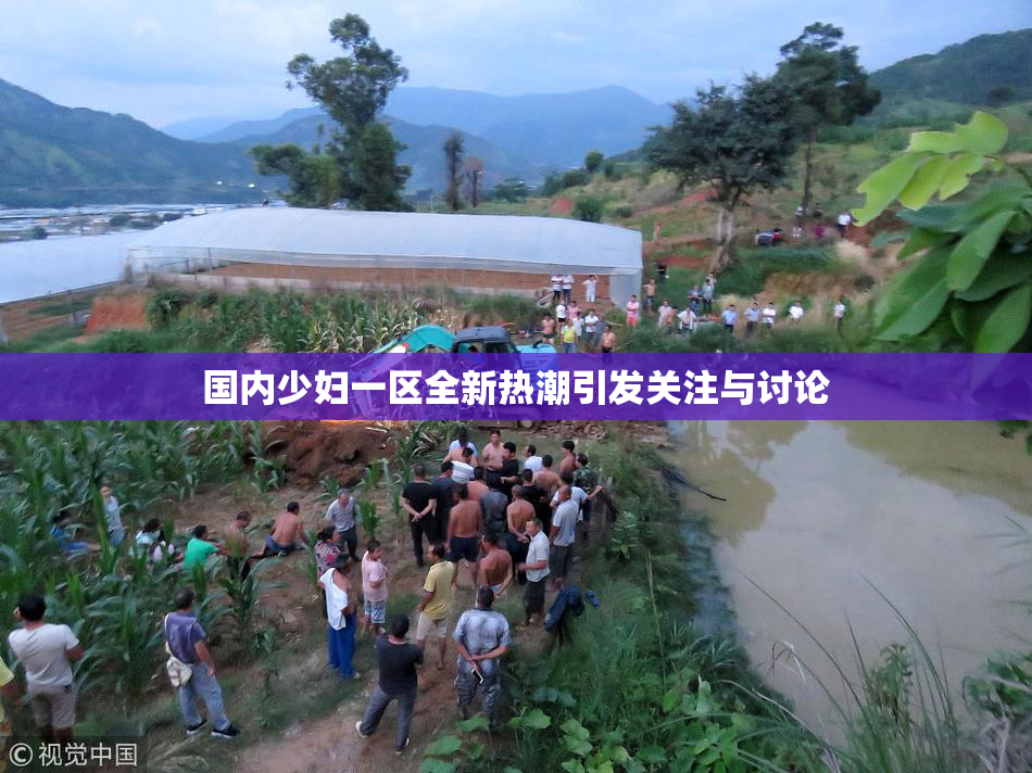 国内少妇一区全新热潮引发关注与讨论