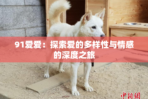 91爱爱：探索爱的多样性与情感的深度之旅