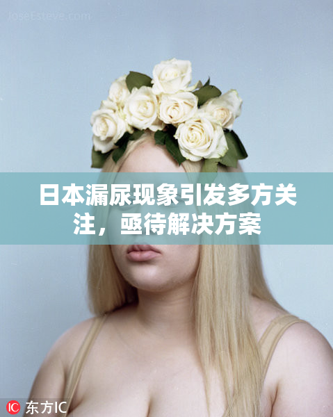 日本漏尿现象引发多方关注，亟待解决方案
