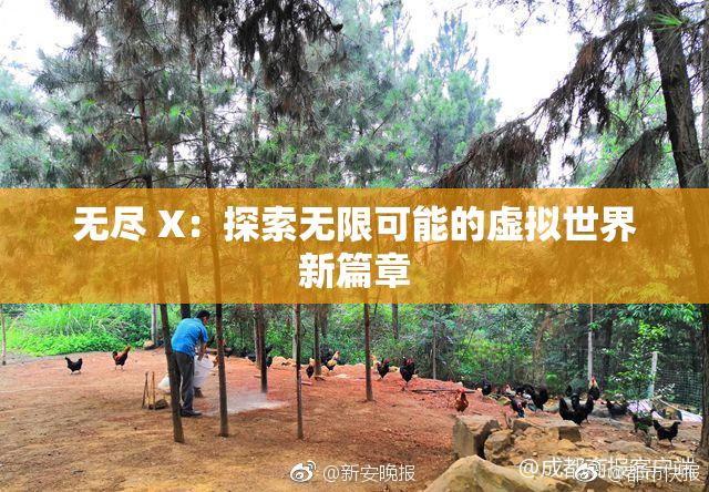 无尽 X：探索无限可能的虚拟世界新篇章