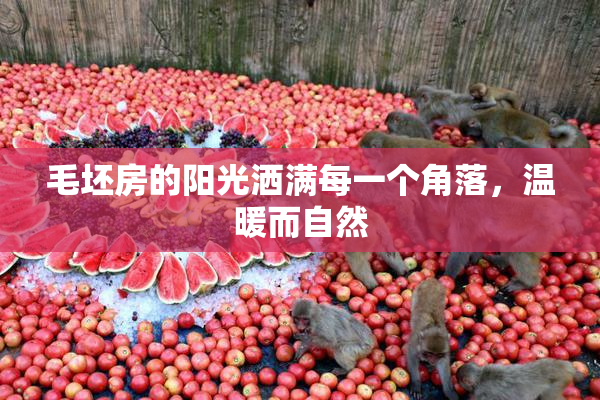 毛坯房的阳光洒满每一个角落，温暖而自然