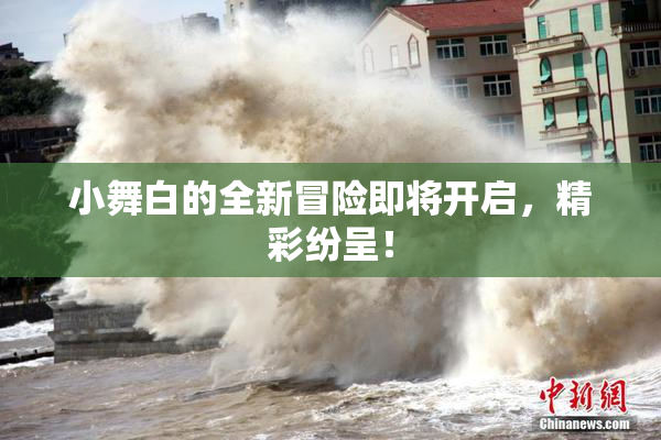 小舞白的全新冒险即将开启，精彩纷呈！