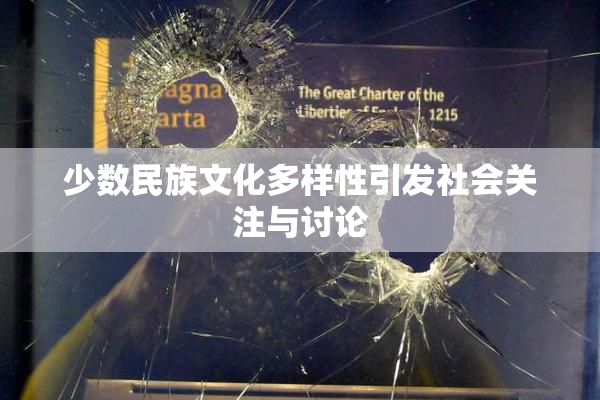 少数民族文化多样性引发社会关注与讨论