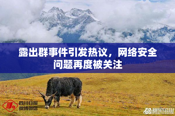 露出群事件引发热议，网络安全问题再度被关注