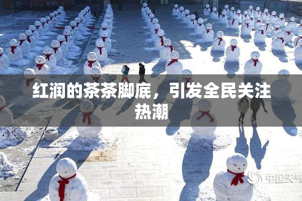 红润的茶茶脚底，引发全民关注热潮