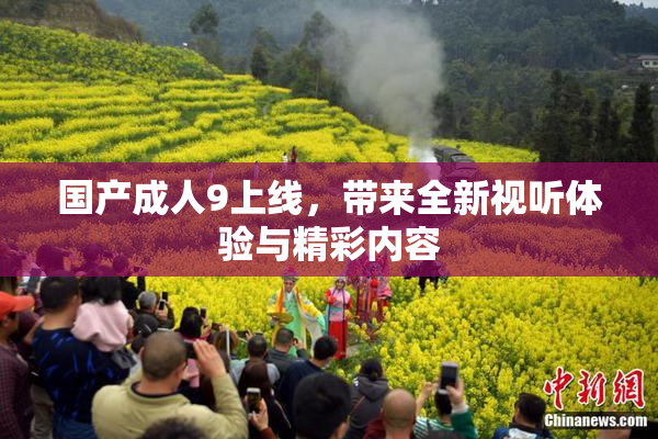 国产成人9上线，带来全新视听体验与精彩内容
