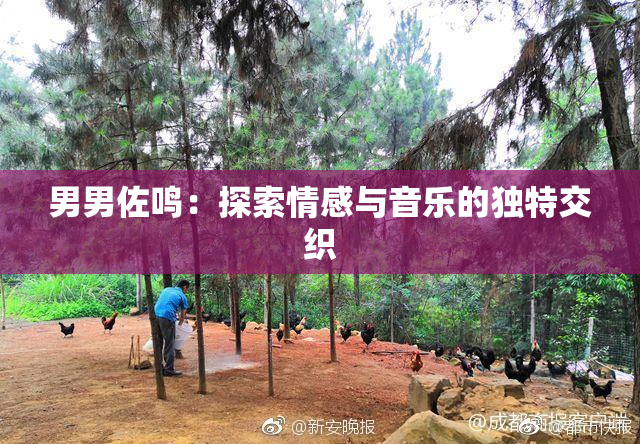 男男佐鸣：探索情感与音乐的独特交织