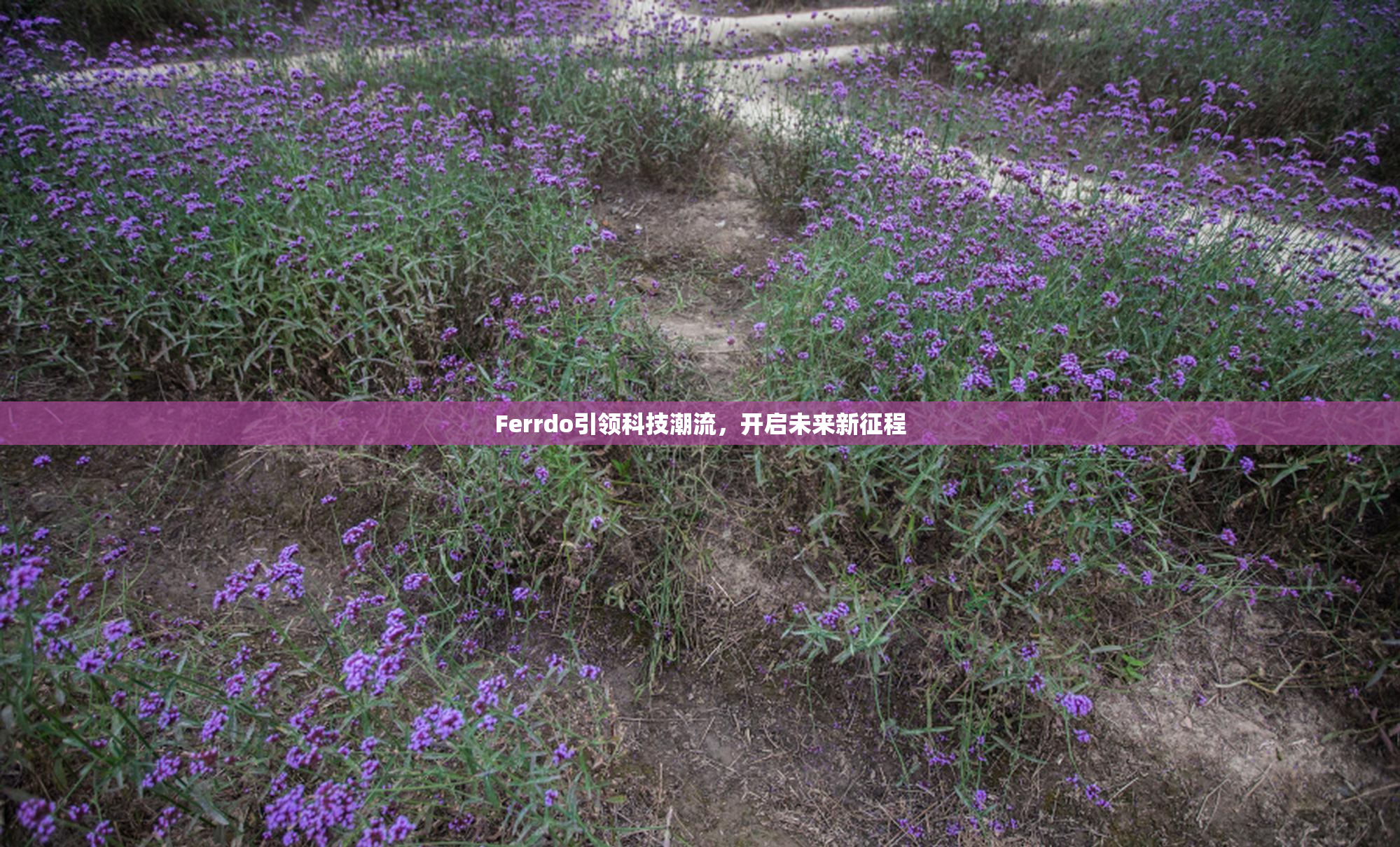 Ferrdo引领科技潮流，开启未来新征程