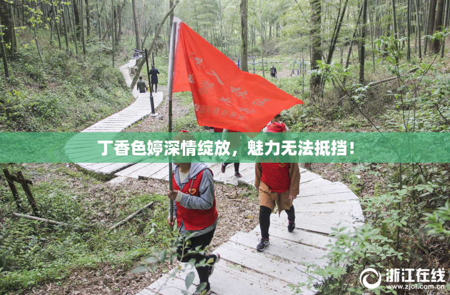 丁香色婷深情绽放，魅力无法抵挡！