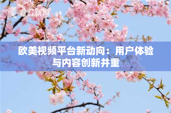 欧美视频平台新动向：用户体验与内容创新并重