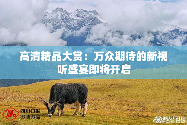 高清精品大赏：万众期待的新视听盛宴即将开启