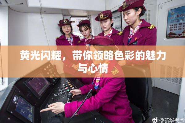黄光闪耀，带你领略色彩的魅力与心情