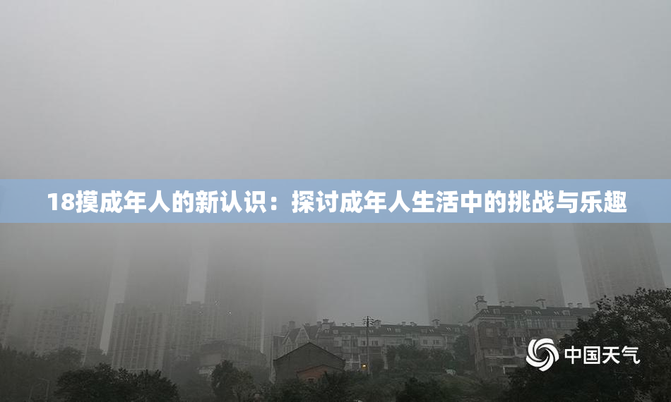 18摸成年人的新认识：探讨成年人生活中的挑战与乐趣