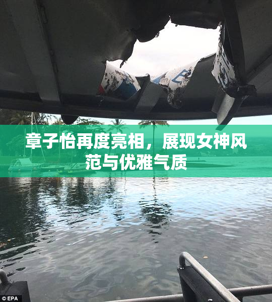 章子怡再度亮相，展现女神风范与优雅气质