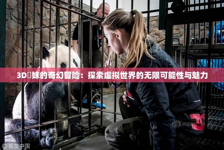 3D姉妹的奇幻冒险：探索虚拟世界的无限可能性与魅力