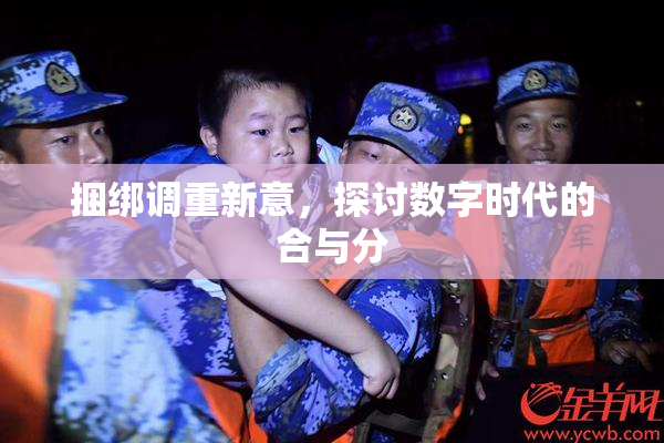 捆绑调重新意，探讨数字时代的合与分