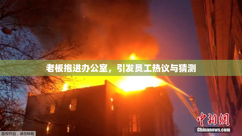 老板抱进办公室，引发员工热议与猜测