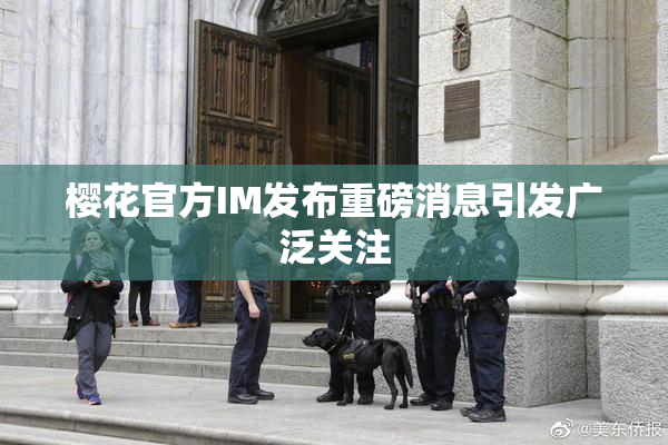 樱花官方IM发布重磅消息引发广泛关注