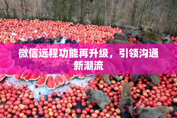 微信远程功能再升级，引领沟通新潮流