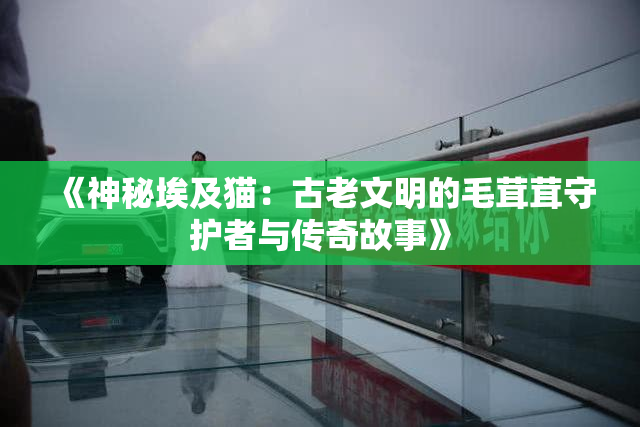 《神秘埃及猫：古老文明的毛茸茸守护者与传奇故事》