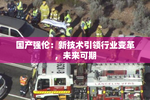 国产强伦：新技术引领行业变革，未来可期