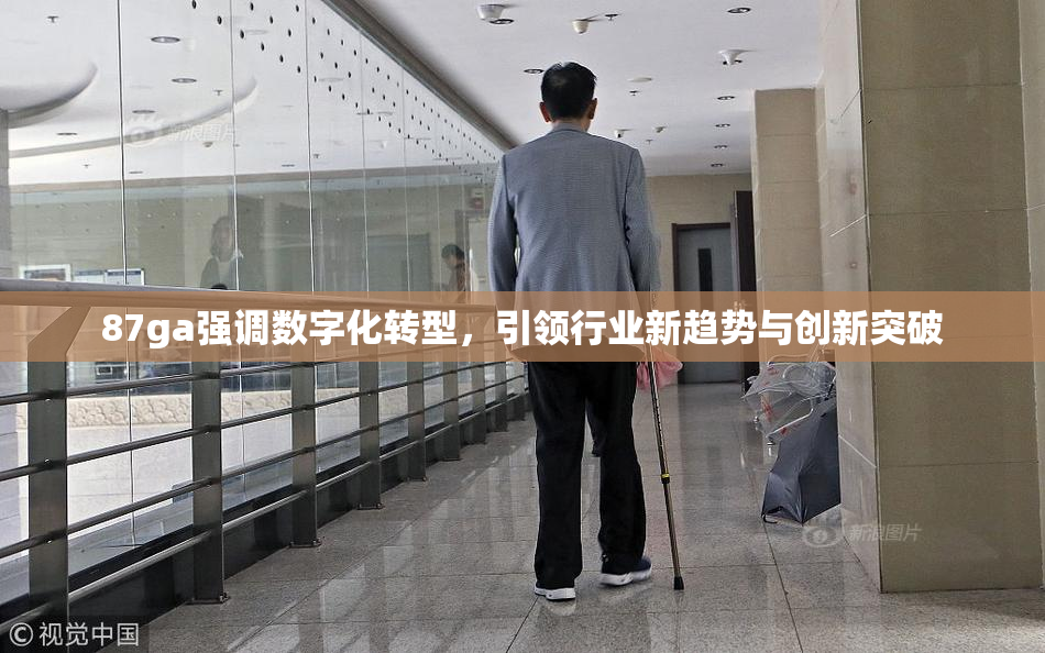 87ga强调数字化转型，引领行业新趋势与创新突破
