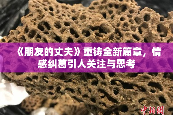 《朋友的丈夫》重铸全新篇章，情感纠葛引人关注与思考